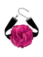 FUSCHIA